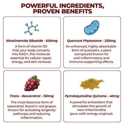 [ONE-TIME OFFER] Buy One, Get TWO FREE