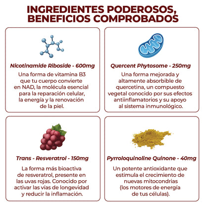 ZOOONE NAD+ Líquido